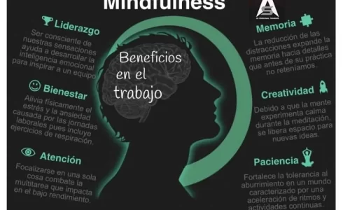Mindfulness para particulares y empresas